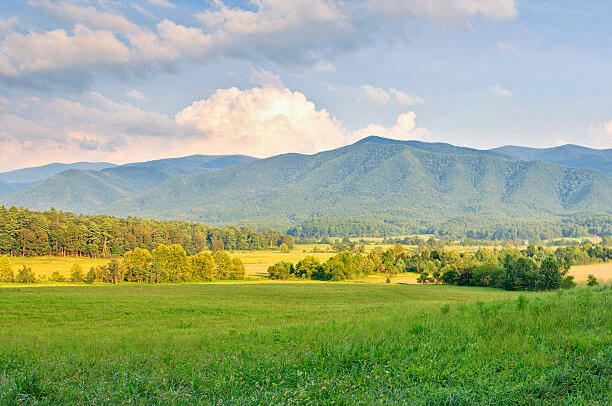 land buyers Wilson County Tennessee